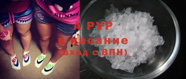Альфа ПВП Няндома