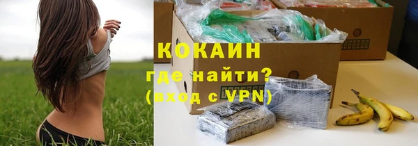 Альфа ПВП Няндома