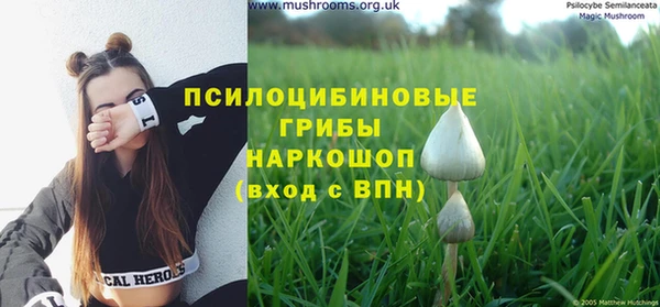 a pvp Нязепетровск