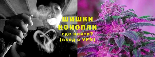 Альфа ПВП Няндома